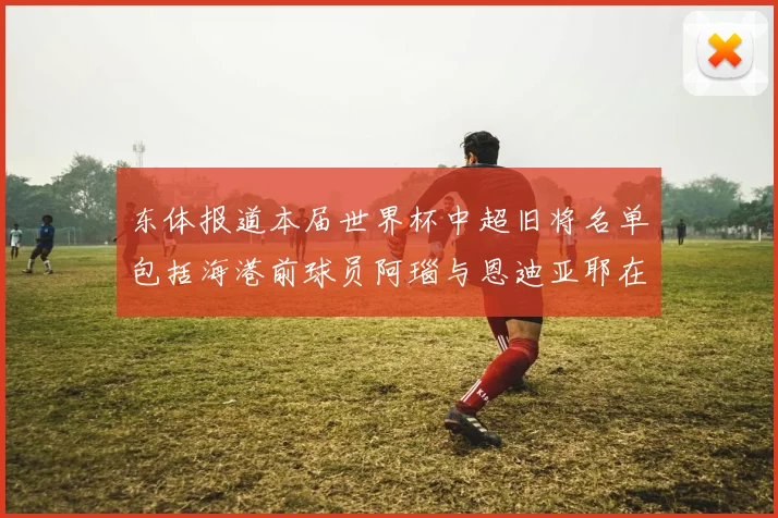 东体报道本届世界杯中超旧将名单包括海港前球员阿瑙与恩迪亚耶在内的10位球员
